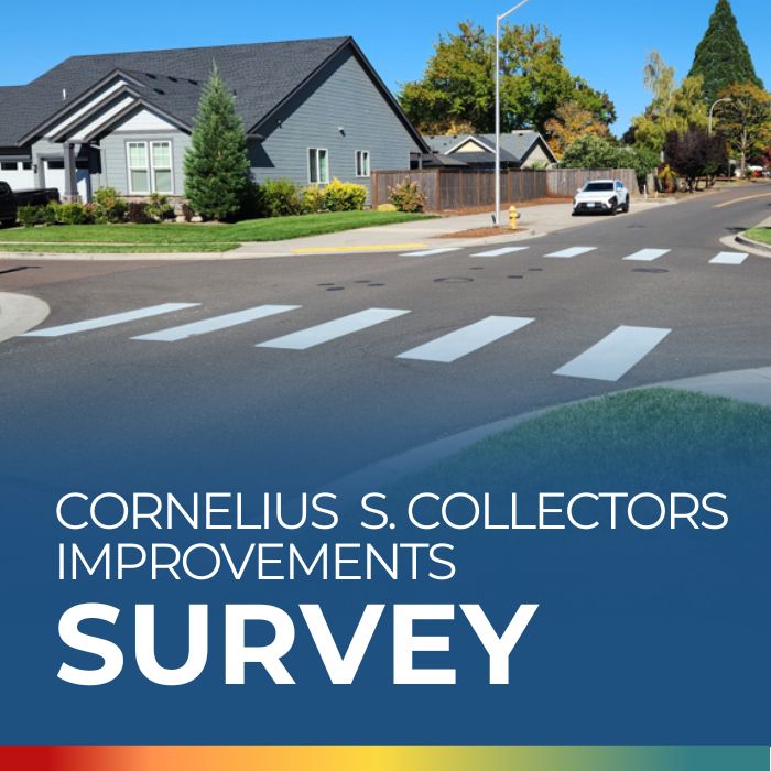 S Collector Improvements Survey. Picture of crosswalk.